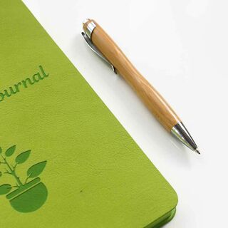 Bamboo Pen